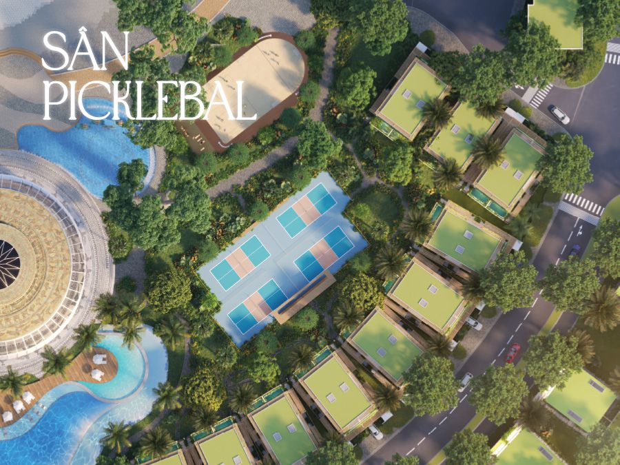 san-picklebal.jpg
